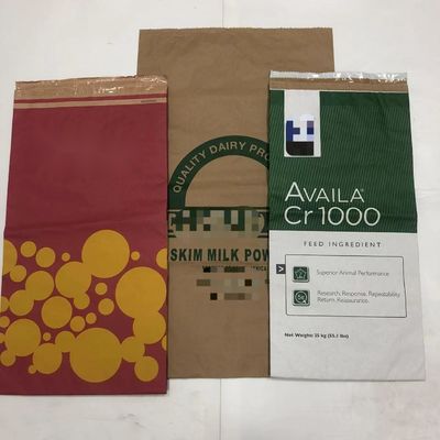 주문형 인쇄 된 다채색 종이 가방 PE 내장 된 Kraft 가방