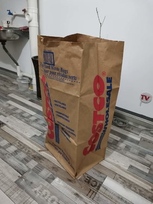 2 층 크라프트지 큰 잔디 포장 봉지 야드 폐기물 페이퍼 찌꺼기 백 방습